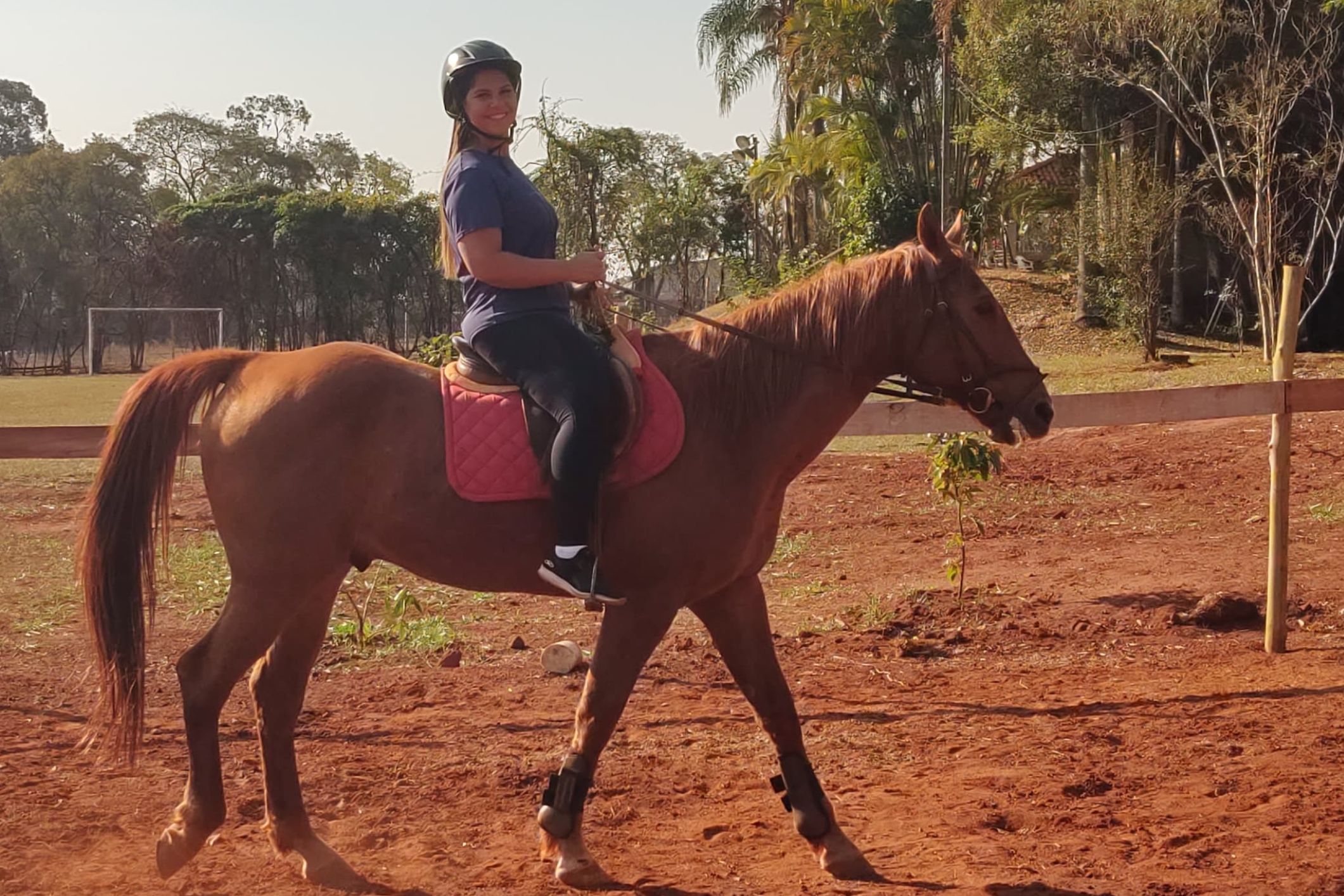trotando com cavalo